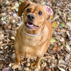 Photo of 41366 - Teddy