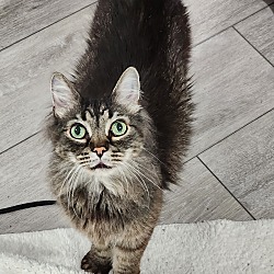 Photo of Spanky