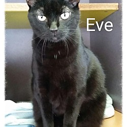 Thumbnail photo of Eve #1