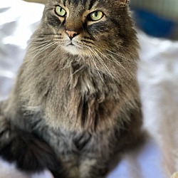 Photo of Milo