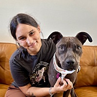 adopt a pet