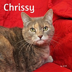 Thumbnail photo of Chrissy #1