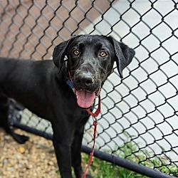 Photo of Waylon