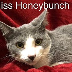 Photo of Miss Honeybunch at Martinez PFE   May 25th