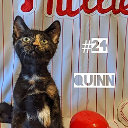 Thumbnail photo of Quinn #1