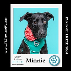 Photo of Minnie (Cartoon Cuties) 032324