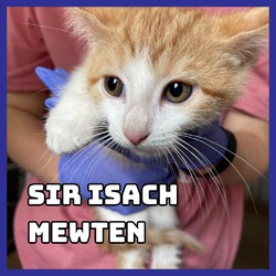 Thumbnail photo of Sir Isach Mewton #1