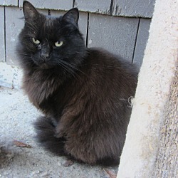Thumbnail photo of Mardi #1