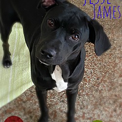 Photo of Jesse James * FH