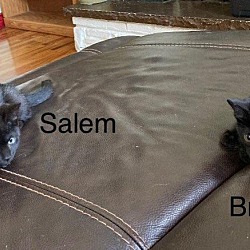 Thumbnail photo of Salem and Brenie #2