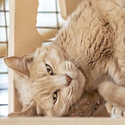 Thumbnail photo of Leonard #2