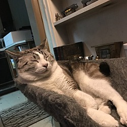 Photo of Sushi