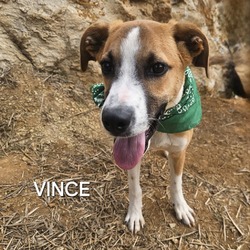 Thumbnail photo of Vince #1