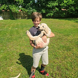Thumbnail photo of Butterbean~adopted! #2