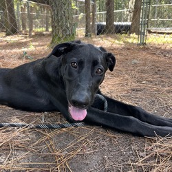Photo of Bella
