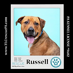 Thumbnail photo of Russell (Dream House Duo) 041523 #2