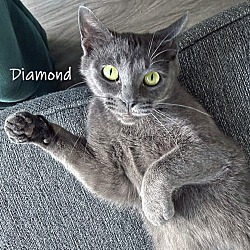 Thumbnail photo of Diamond #4