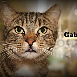 Thumbnail photo of Gabriel #1