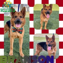 Photo of BRANSON