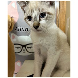 Photo of Allan