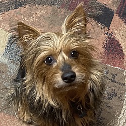 Photo of Henry