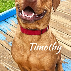 Photo of Timothy