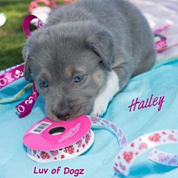 Thumbnail photo of Hailey #1
