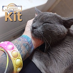 Thumbnail photo of Kit #2