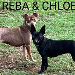 Photo of Chloe and Reba