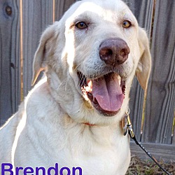 Thumbnail photo of Brendon #3