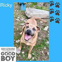 Thumbnail photo of RickyBobby #2