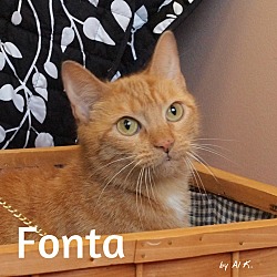 Thumbnail photo of Fonta #1