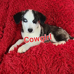 Photo of Cowgirl (Blue Eye)