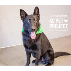 Thumbnail photo of Christopher #1