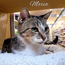 Thumbnail photo of MARIA #2