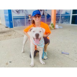 Photo of BUDDY
