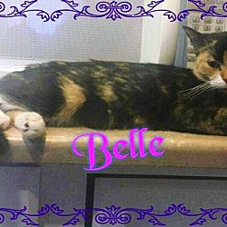 Thumbnail photo of Disney's Belle #1