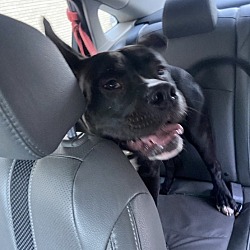 Photo of Max