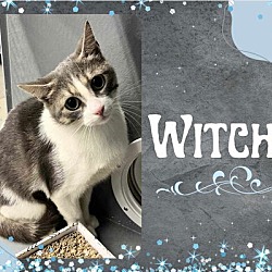 Thumbnail photo of Witchy #2