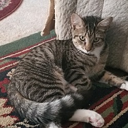 Photo of Hemmy