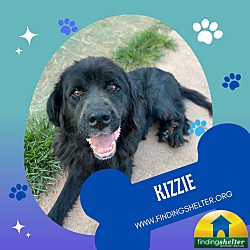Photo of Kizzie