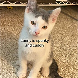 Thumbnail photo of Lenny #1