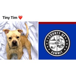 Photo of TINY TIM