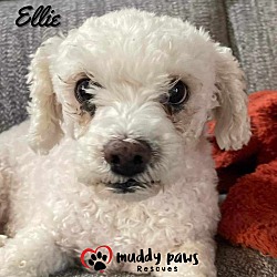 Thumbnail photo of Ellie #2