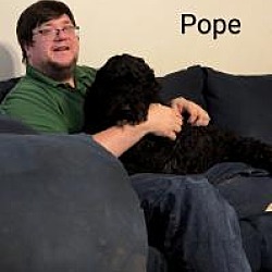 Thumbnail photo of Pope Society #3