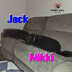 Thumbnail photo of Jack (Courtesy Post) #2