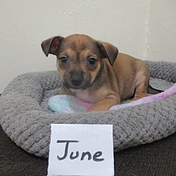 Thumbnail photo of June #1