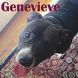 Thumbnail photo of Genevieve #3