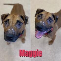 Photo of MAGGIE