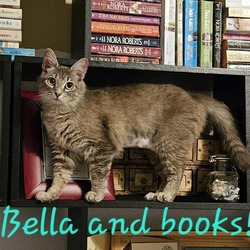 Thumbnail photo of Bella #1